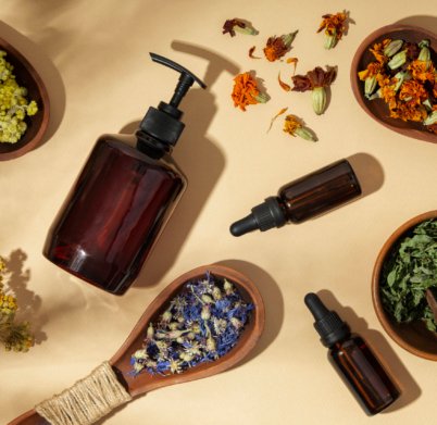 wooden-spoons-with-plants-top-view (1)